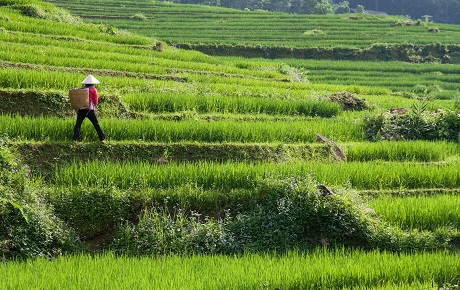 [Khuyến nghị] PAN: Chiến lược phát triển bền vững nhằm thúc đẩy lợi nhuận trong bối cảnh áp lực lạm phát