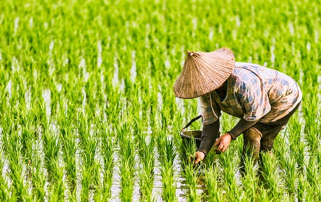 [Cập nhật] PAN: Ghi nhận từ hội thảo: Gặp gỡ doanh nghiệp Việt Nam do GS & SSI tổ chức năm 2024