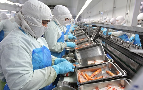 Khuyến nghị cơ hội ngắn hạn: FMC - Tín hiệu hồi phục, sẵn sàng tăng tốc